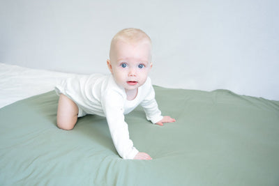 Moss detail photo